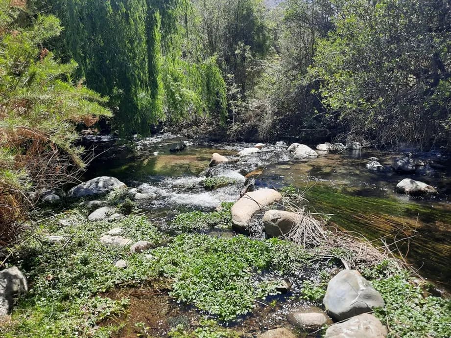 Alianzas y convenios